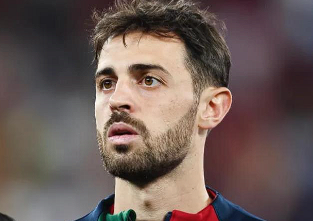 本菲卡主席竞选：B席回归成焦点议题